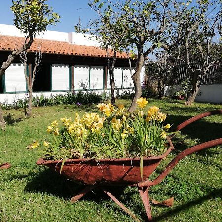 Casa Rural Limon Y Sol El El Sauzal Extérieur photo