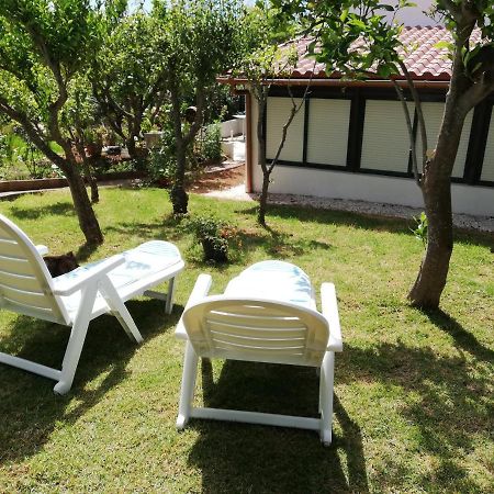 Casa Rural Limon Y Sol El El Sauzal Extérieur photo
