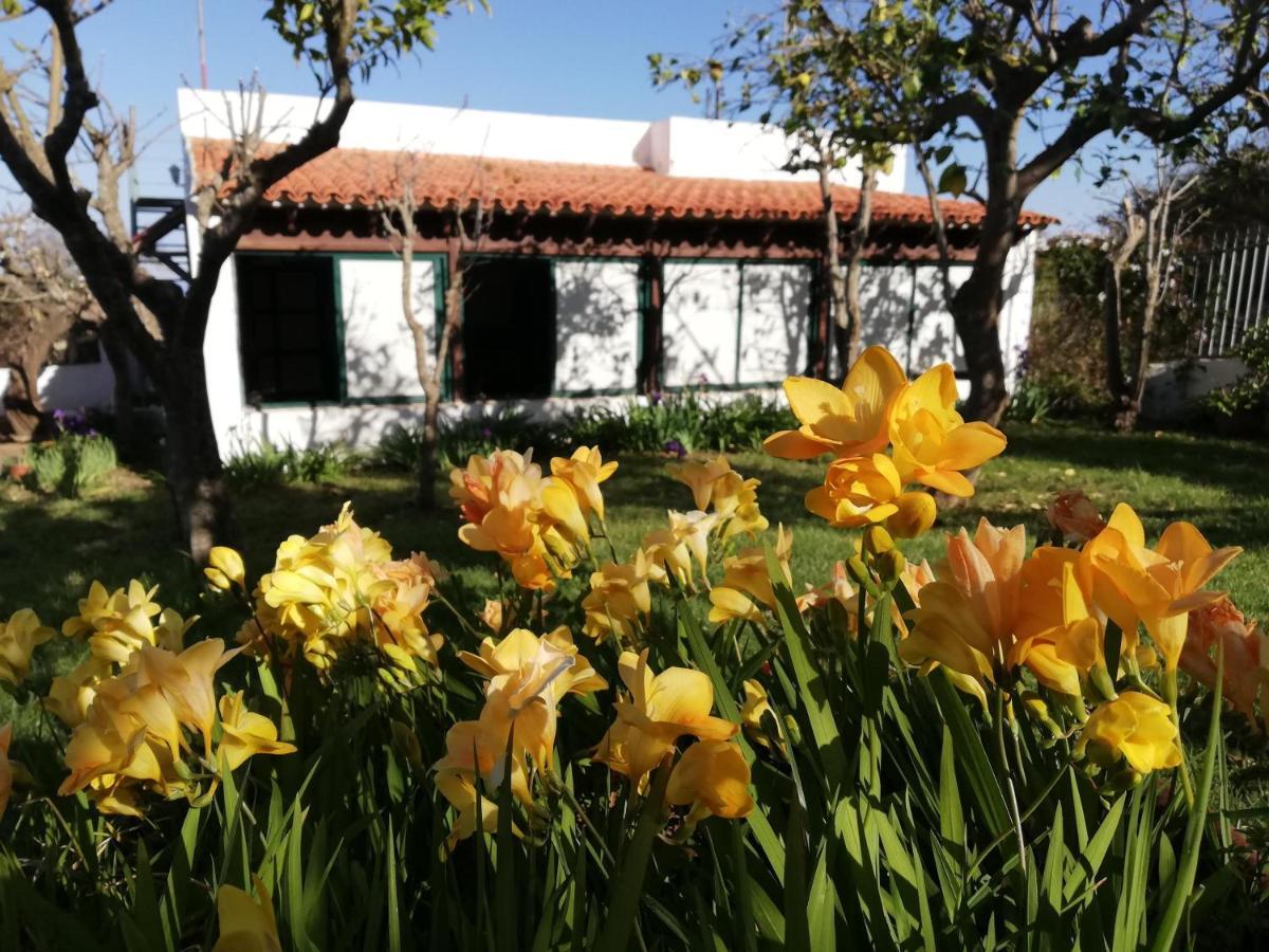Casa Rural Limon Y Sol El El Sauzal Extérieur photo