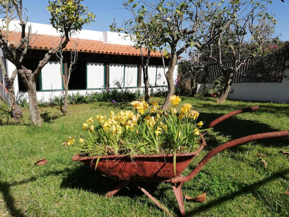 Casa Rural Limon Y Sol El El Sauzal Extérieur photo