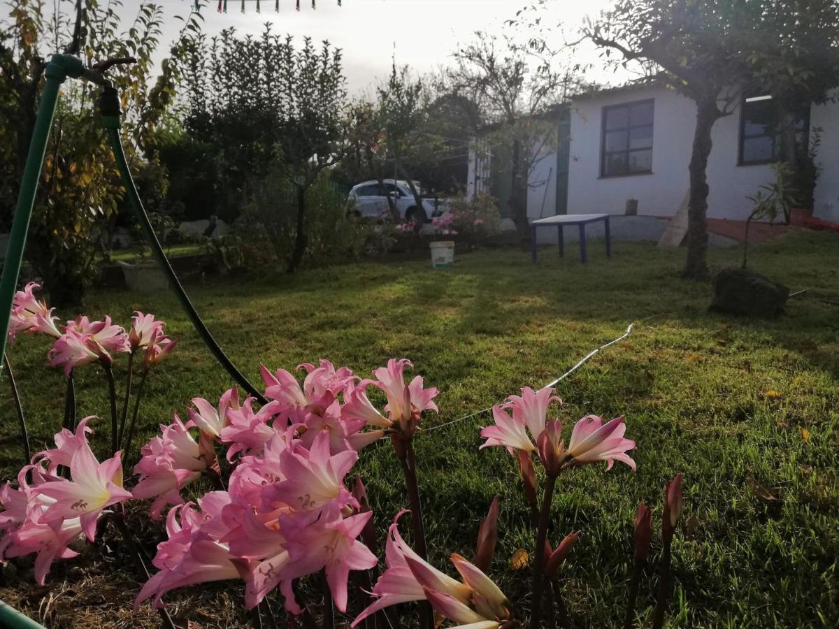 Casa Rural Limon Y Sol El El Sauzal Extérieur photo