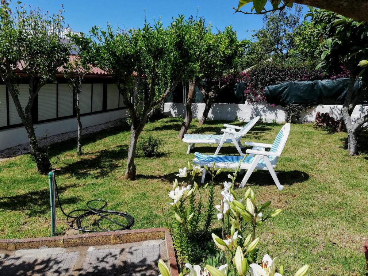 Casa Rural Limon Y Sol El El Sauzal Extérieur photo