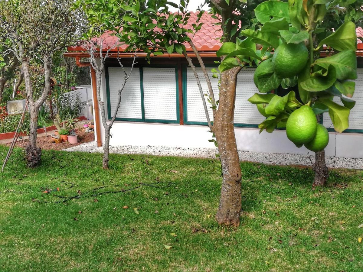 Casa Rural Limon Y Sol El El Sauzal Extérieur photo